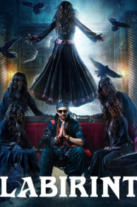 Labirint 2 Hind Kino Uzbek tilida tarjima To'liq qism